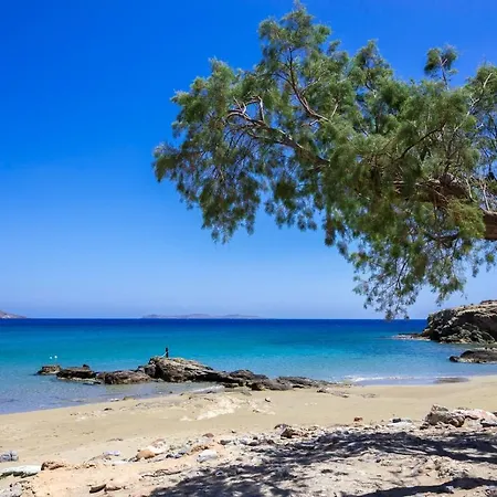 Carissa House In Crete